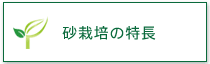 砂栽培の特長