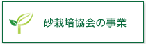 砂栽培協会の事業