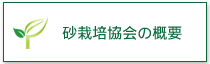 砂栽培協会の概要