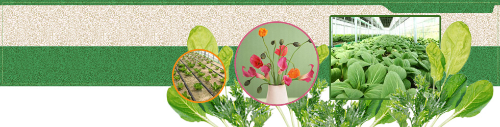 私たちは、自然に優しい生活を応援します。